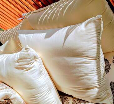 White Lotus Home Organic Cotton Pillows